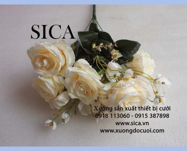 Mẫu hồng 7 bông điểm cúc