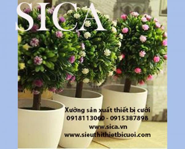 Cung cấp các mẫu chậu hoa đẹp
