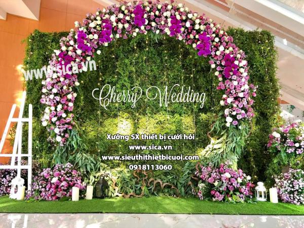 Backdground chụp hình cưới mới, đẹp nhất