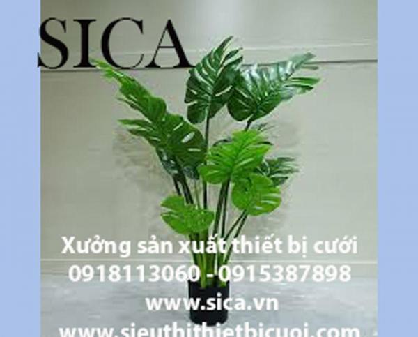 Thiết kế chậu cây trang trí đẹp
