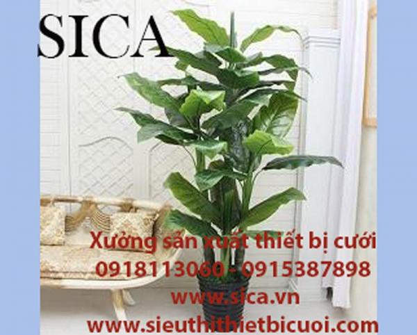 Chuyên bán các mẫu chậu hoa đẹp
