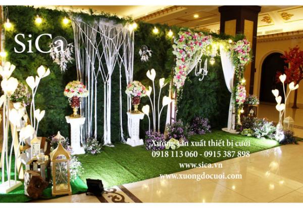 Chuyên bán Background giá rẻ