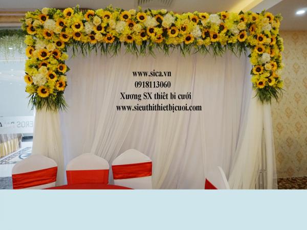 Background chụp hình hoa hướng dương