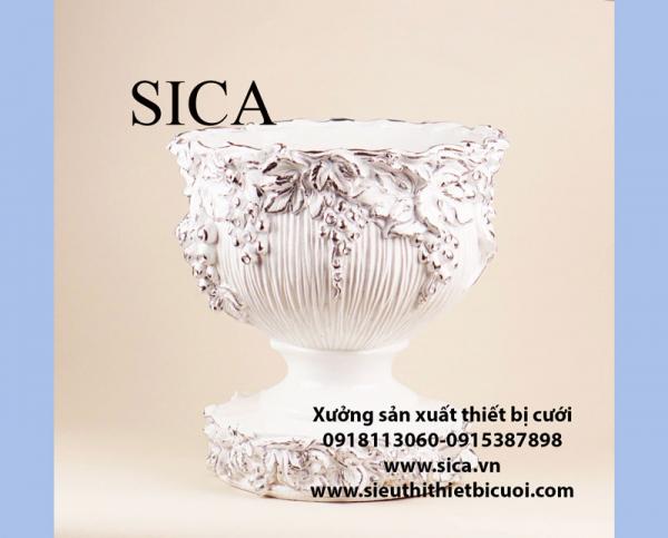 Bình cấm hoa chất liệu poly giá rẻ