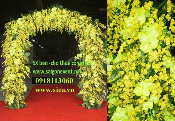 Công hoa cưới màu vàng- hoa lan Vũ Nữ