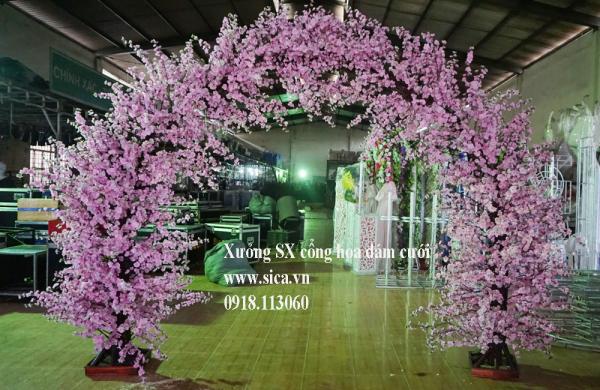 Cổng hoa anh đào
