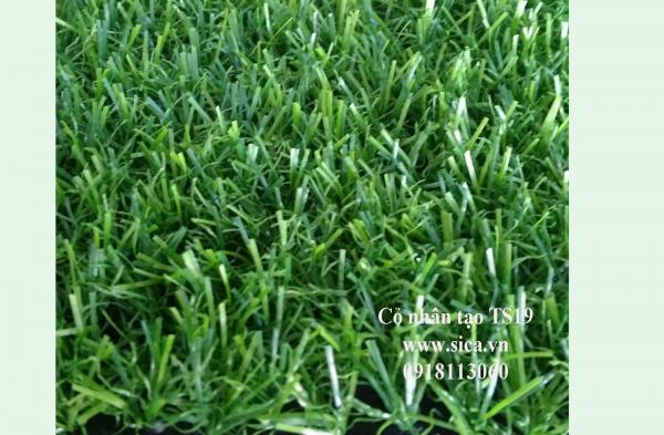 Mua bán thảm cỏ nhân tạo, cỏ sân banh S19