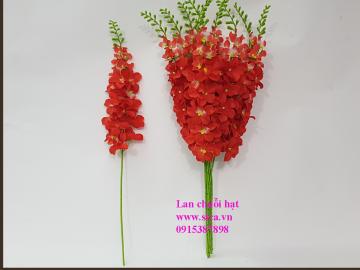 Hoa lan chuỗi hạt VN đỏ