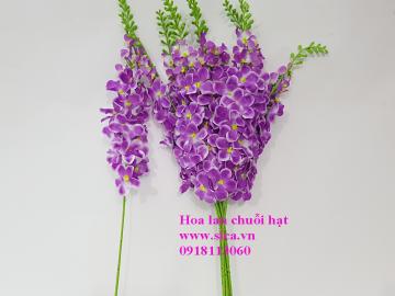 Hoa lan chuỗi hạt VN tím cà